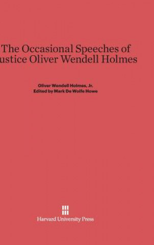 Kniha Occasional Speeches of Justice Oliver Wendell Holmes Jr. Oliver Wendell Holmes