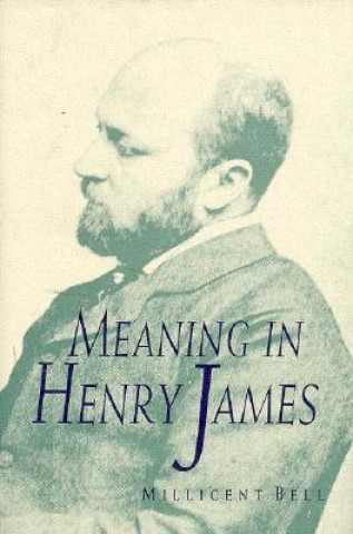 Buch Meaning in Henry James Millicent Bell