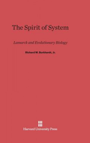 Könyv Spirit of System Jr. Burkhardt