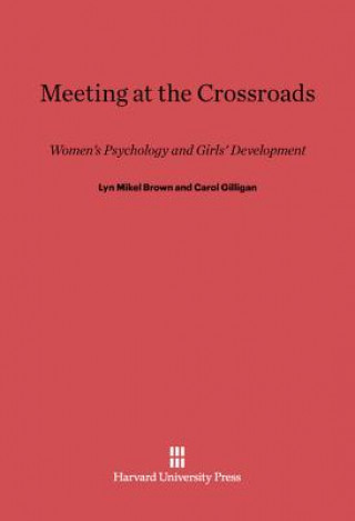 Book Meeting at the Crossroads Lyn Mikel Brown