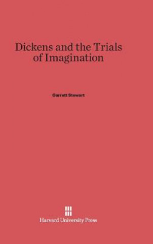 Könyv Dickens and the Trials of Imagination Garrett Stewart