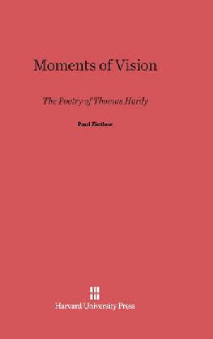 Kniha Moments of Vision Paul Zietlow