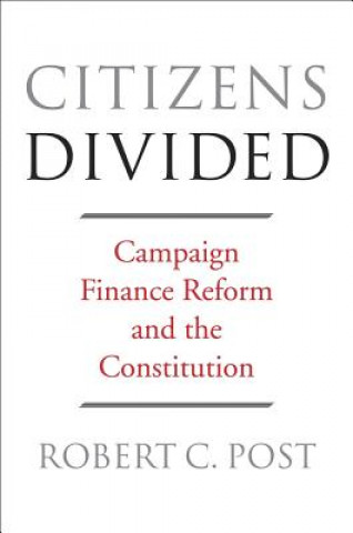 Kniha Citizens Divided Robert C. Post