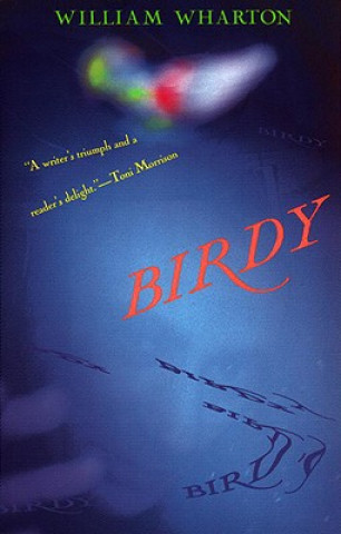 Kniha Birdy William Wharton
