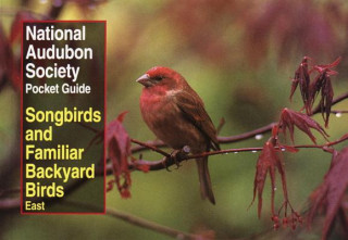Kniha National Audubon Society Pocket Guide to Songbirds and Familiar Backyard Birds: Eastern Region Wayne R. Petersen