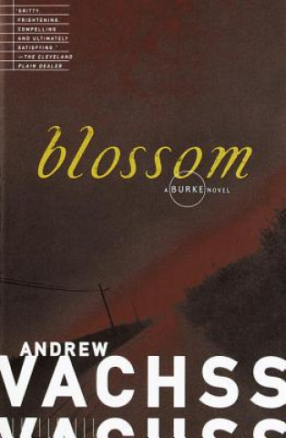 Könyv Blossom Andrew H. Vachss