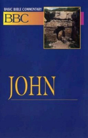 Βιβλίο John Abingdon Press