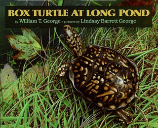 Book Box Turtle at Long Pond William T. George