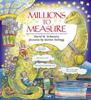 Kniha Millions to Measure David M. Schwartz