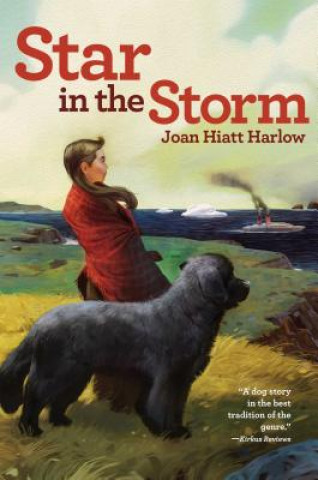 Carte Star in the Storm Joan Hiatt Harlow