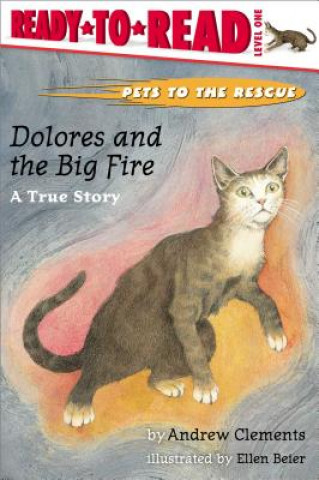 Kniha Dolores and the Big Fire Andrew Clements