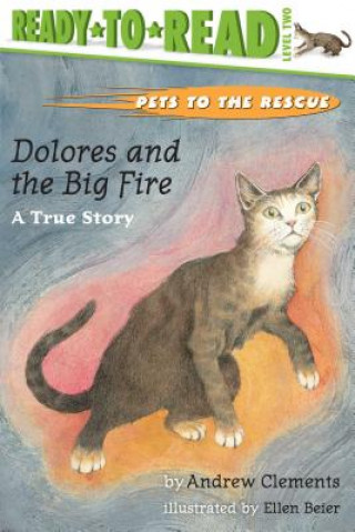 Book Dolores and the Big Fire: Dolores and the Big Fire Andrew Clements