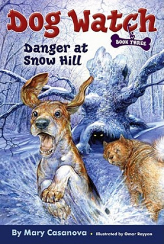 Kniha Danger at Snow Hill Mary Casanova