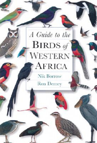 Kniha Guide to the Birds of Western Africa Nik Borrow