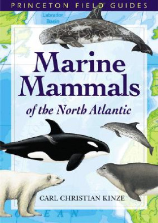 Kniha Marine Mammals of the North Atlantic Carl Christian Kinze
