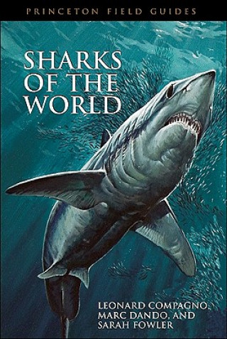 Kniha Sharks of the World Leonard Compagno