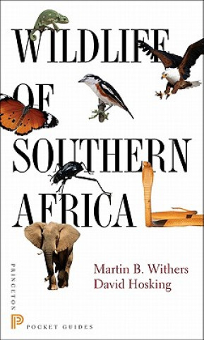 Kniha Wildlife of Southern Africa Martin B. Withers