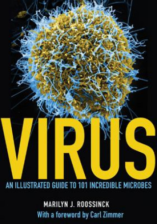 Könyv Virus - An Illustrated Guide to 101 Incredible Microbes Marilyn Roossinck