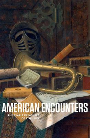 Kniha American Encounters Stephanie Mayer Heydt