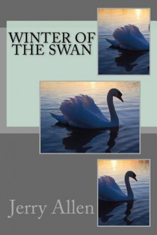 Carte Winter of the Swan Jerry Allen