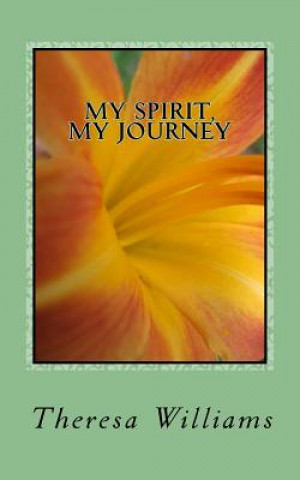 Carte My Spirit, My Journey: A Beginner's Guide: How to Discover, Decide, and Delight in Your Spiritual Journey Theresa Williams