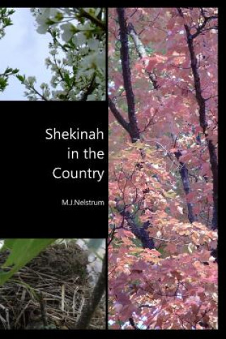 Könyv Shekinah in the Country M. J. Nelstrum