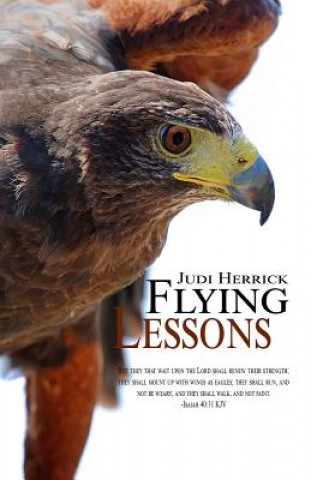 Kniha Flying Lessons Judi Herrick