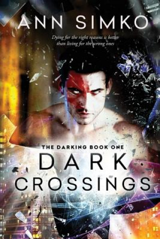 Книга Dark Crossings Ann Simko