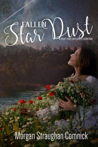 Kniha Fallen Star Dust Morgan Straughan Comnick