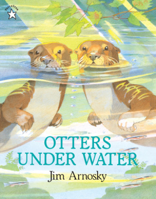 Carte Otters Under Water Jim Arnosky