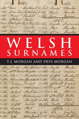 Kniha Welsh Surnames 