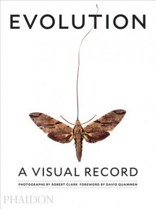 Kniha Evolution: A Visual Record Robert Clark