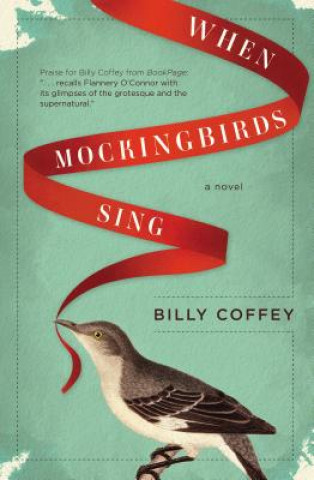 Knjiga When Mockingbirds Sing Billy Coffey