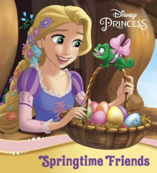 Kniha Princess Spring-Themed Board Book (Disney Princess) Random House Disney