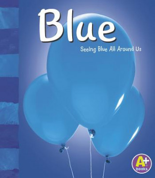 Könyv Blue: Seeing Blue All Around Us Sarah L. Schuette