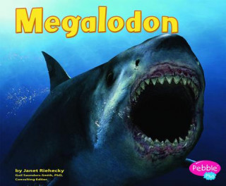 Carte Megalodon Janet Riehecky