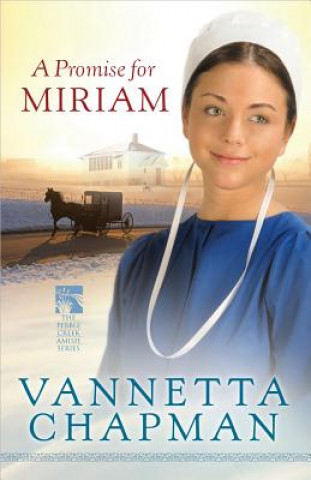 Kniha Promise for Miriam Vannetta Chapman