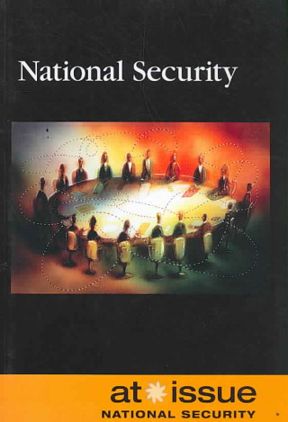 Kniha National Security David M. Haugen