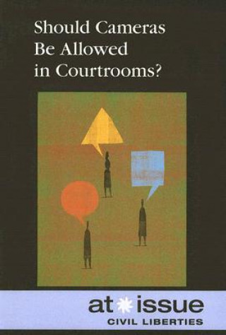 Könyv Should Cameras Be Allowed in Courtrooms? Amanda Hiber