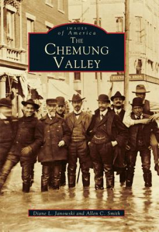 Carte The Chemung Valley Diane L. Janowski