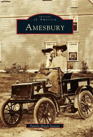 Kniha Amesbury Pamela Mutch Stevens