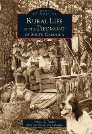 Könyv Rural Life in the Piedmont of South Carolina Dennis S. Taylor