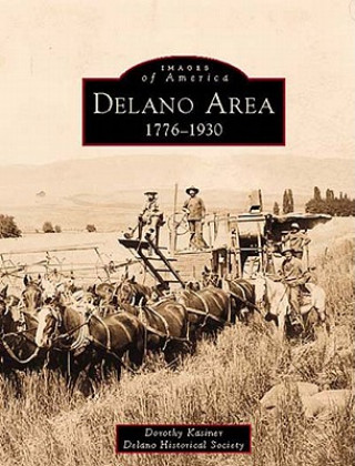 Könyv Delano Area:: 1776-1930 Dorothy Kasiner