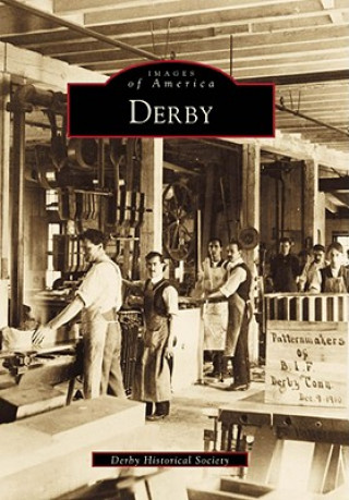 Книга Derby Derby Historical Society