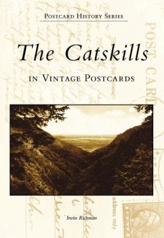 Könyv The Catskills in Vintage Postcards Irwin Richman