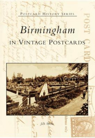 Knjiga Birmingham in Vintage Postcards J. D. Weeks