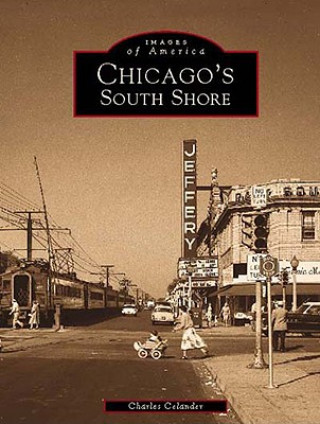 Carte Chicago's South Shore Neighborhood Charles Celander