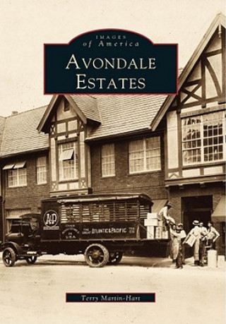 Kniha Avondale Estates Terry Martin-Hart