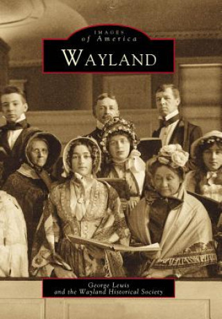 Könyv Wayland George Lewis