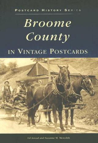 Carte Broome County in Vintage Postcards Ed Aswad
